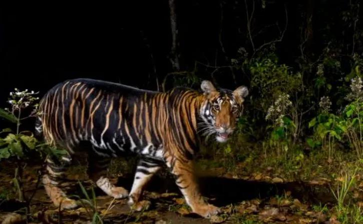 National Geographic опублікував 20 найкращих фотографій світу.