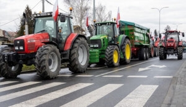 Польські фермери заблокували завод, який купував сировину в Україні
